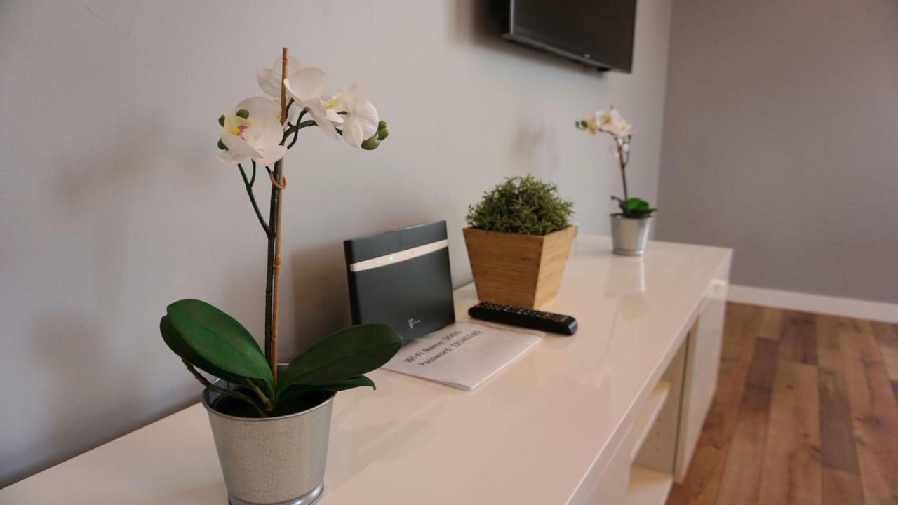 Apartament Lublin Centrum "Foxy Cat" Kültér fotó